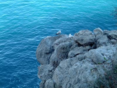 DSCF0152.JPG